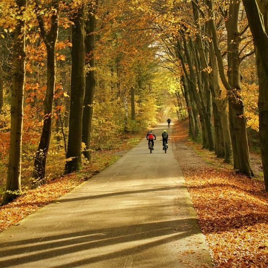 best cycling destinations in autumn
