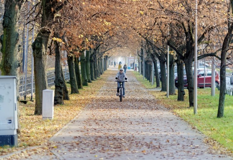 cycling in autumn