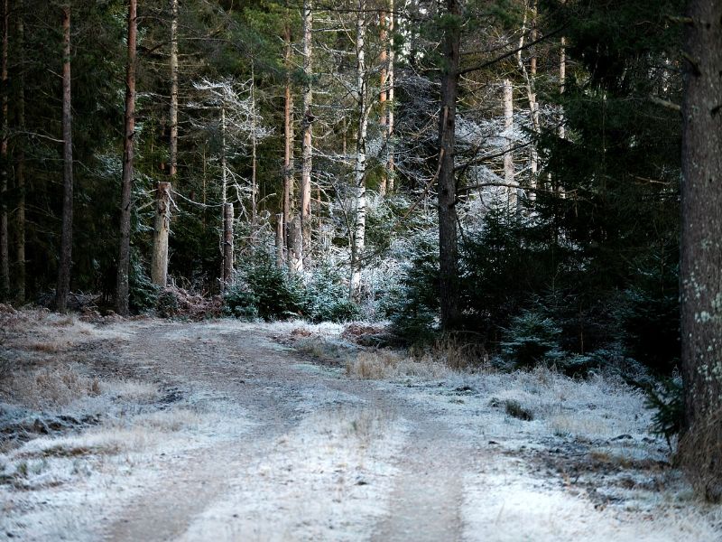 winter gravel cycling road